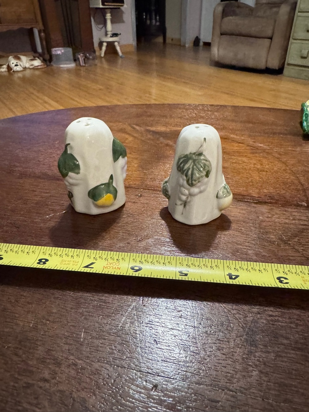 Ceramic Fruit Motif Salt and Pepper Shaker Set - White and Green